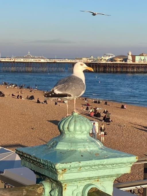 Regency Brighton Seafront Apartment Exteriör bild